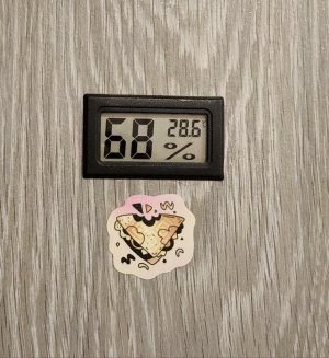 5296536507194140220.jpg