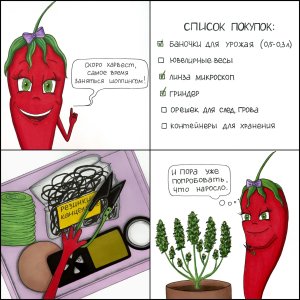 IMG_7248.jpeg