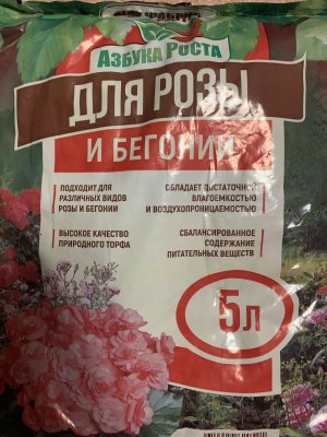 IMG_7687.jpeg