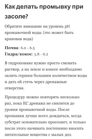 IMG_7921.jpeg