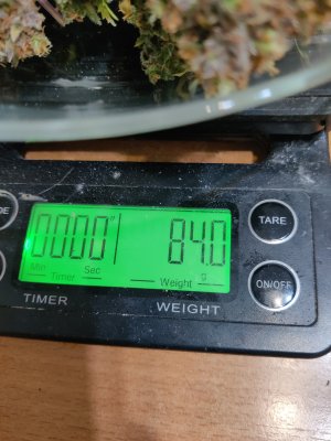 1000025766.jpg