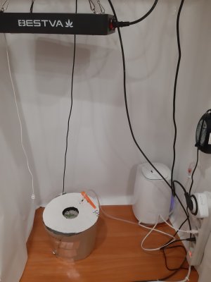 20250219_143731.jpg
