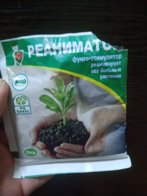 IMG20250221215704.jpg
