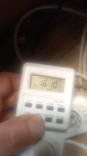 17403052777285708739539907582192.jpg