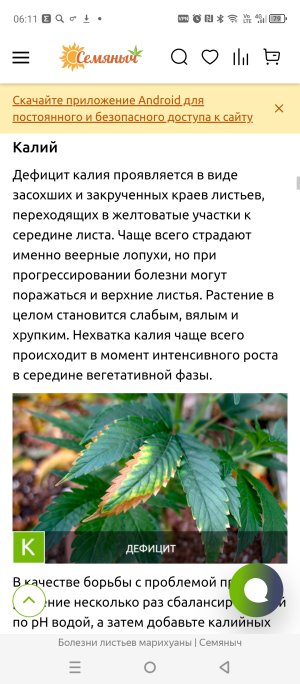 Screenshot_20250310-061124.jpg