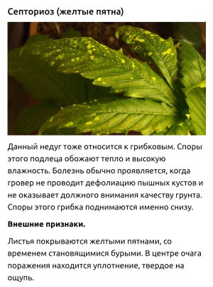 Screenshot_2025-03-10-13-13-32-83_2666d8e8749d9d939db2acd04b4dd66d.jpg