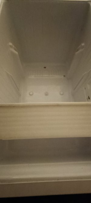 IMG_20250315_211654.jpg
