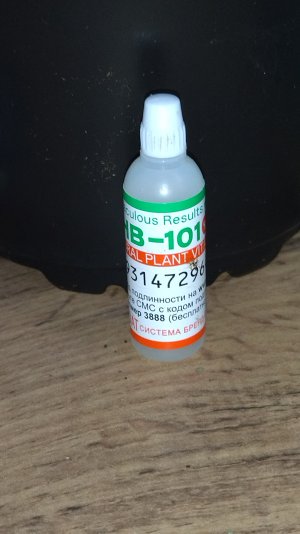 IMG_20250324_080631.jpg