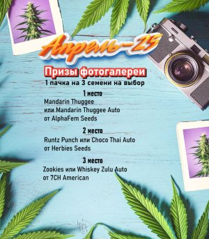 апрель.jpg