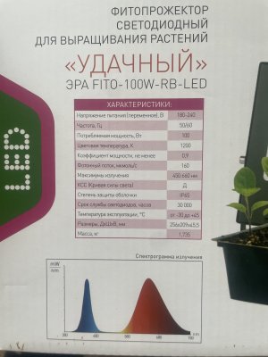 прож.JPG