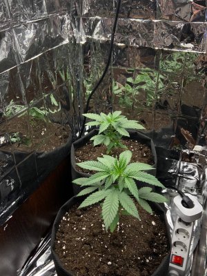 07.05.2025.jpg