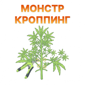 Monstr kropping.png