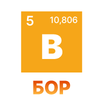 bor.png