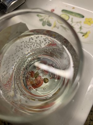 IMG_6366.jpeg