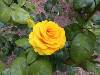 IMG_20250619_110538.jpg