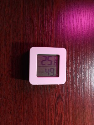 IMG_20250622_132045.jpg