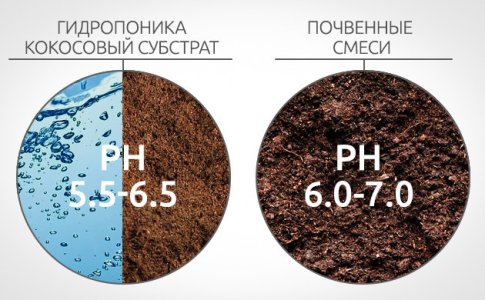 neblagopriyatnyj-uroven-ph__GDOTp413IOuLCZGI.jpg