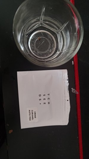 P_20250709_071906.jpg