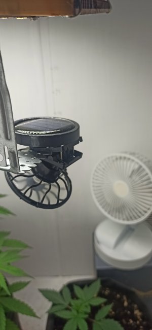 IMG_20250716_183301.jpg