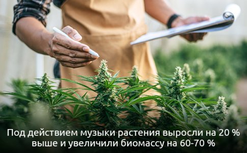 Eksperimenty-i-nauchnye-issledovaniya__pW2KtIshBMgHgkNy.jpg