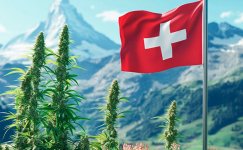 suisse.jpg