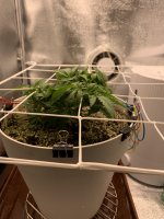 IMG_0872.jpeg