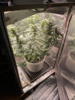 IMG_0130.jpeg