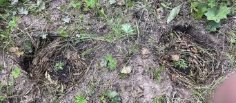 IMG_0507.jpeg
