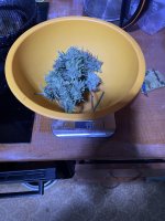 IMG_0165.jpeg