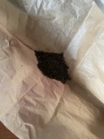 IMG_0195.jpeg