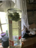 IMG_0218.jpeg