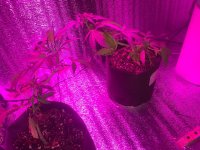 IMG_6674.jpeg