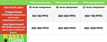 1f0f6076385cedfc02310.png