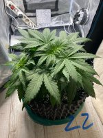 IMG_0998.jpeg