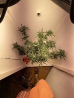 IMG_0299.jpeg