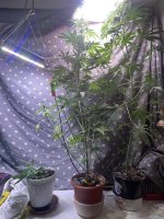 IMG_0518.jpeg