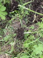 IMG_0629.jpeg