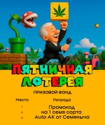 lottery-anounce.jpg