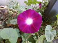 IMG_20250907_064409.jpg