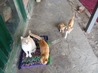 IMG_20250907_075954.jpg