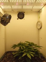 IMG_20250908_213818.jpg