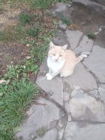 IMG_20250910_060129.jpg