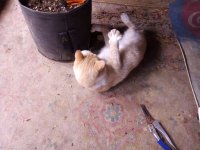 IMG_20250910_071210.jpg