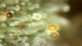20250910-204423-984.jpg