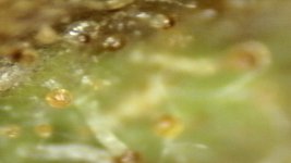 20250910-204713-227.jpg