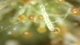 20250910-204723-748.jpg