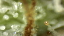 20250910-205113-361.jpg