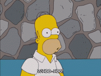 giphy333223.gif