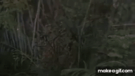 TVhRYk.gif