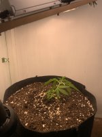 IMG_8200.jpeg